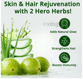 Vansaar 45+ Aloe Vera Amla Juice thumbnail