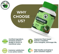 Ruchi Veda Natural Moringa Leaf Tablet thumbnail