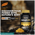 Himalaya Wellness Shilajit Gold Capsule thumbnail