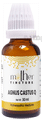 Pioneer Pharma Agnus Castus Q Mother Tincture thumbnail