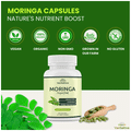 Vansattva Moringa Capsule thumbnail