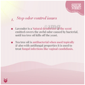 SheNeed 24 Hr Odour Control Feminine Intimate Wipe (10 Each) Reduce From Leakage & UTI thumbnail