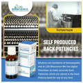 LDD Bioscience Onosmodium Dilution (100ml Each) 200 CH thumbnail