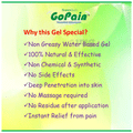 Green Quirs Combo Pack of Flexido Gel & Gopain Gel (100gm Each) thumbnail