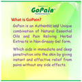 Green Quirs Combo Pack of Flexido Gel & Gopain Gel (100gm Each) thumbnail