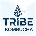 Tribe Kombucha Probiotic Sparkling Super Drink (250ml Each) Classic thumbnail