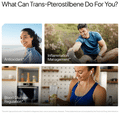 Decode Age Trans-Pterostilbene Vegan Capsule thumbnail