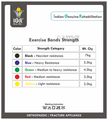 IGR Exerciser Band Blue thumbnail