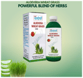 Sampuran Swadeshi Aloevera Wheat Grass Juice thumbnail