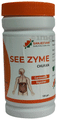 Sanjeevani See Zyme Churan thumbnail