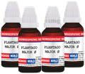 Dr. Majumder Homeo World Plantago Major Mother Tincture (30ml Each) Q thumbnail
