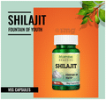 Morpheme Shilajit Capsule thumbnail