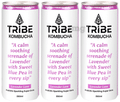 Tribe Kombucha Probiotic Sparkling Super Drink (250ml Each) Lavender Love thumbnail