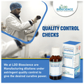 LDD Bioscience Sanguinaria Canadensis Dilution 6 CH thumbnail