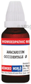 Dr. Majumder Homeo World Anacardium Occidentale Q Mother Tincher(30ml Each) thumbnail
