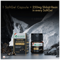 Dr. Vaidya's Herbo 24 Turbo 100% Pure Himalayan Shilajit Resin (30 Each) thumbnail