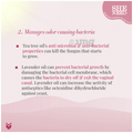 SheNeed 24 Hr Odour Control Feminine Intimate Wipe (10 Each) Reduce From Leakage & UTI thumbnail