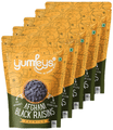 Yumleys Premium Afghani Black Raisins (250gm Each) with Seed thumbnail