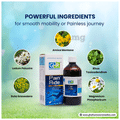 Ghai Homoeo Remedies Pain Aide Syrup thumbnail