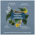 Caim Rekindle for Men (20gm Each) Orange Zest thumbnail
