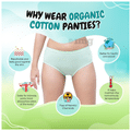 SochGreen Organic Hipster Everyday Undies Greenfig XXXL thumbnail