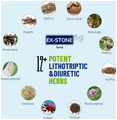 Ex-Stone Syrup (200ml Each) thumbnail