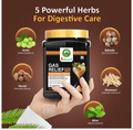 Srishma Gas Relief Pro Constipation Powder thumbnail