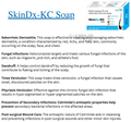 SkinDx-KC Soap (75gm Each) thumbnail