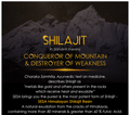 Sesa Himalayan Shilajit Resin (30gm Each) thumbnail
