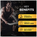 Fitgenix Nutrition Fitgain Mass Gainer Powder Chocolate thumbnail