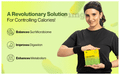 Setu Lean: Lite Pro+ Sachet (15 Each) Lemon thumbnail