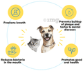 The Good Paws Ta Ta Tartar Dental Hygiene for Dogs and Cats thumbnail