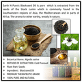 Earth N Pure Blackseed Oil thumbnail