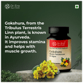 Dr. Era Ayurveda Gokshura Veg Capsule thumbnail