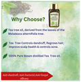 Yugood Tea Tree Essential Oil thumbnail