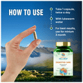 Search Wellness Digestive Care Capsule thumbnail