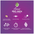 Aorus Promen Capsule thumbnail