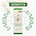 Kbir Liverzyme DS Syrup |Protects Liver against various Hepatotoxins thumbnail