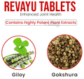 Kudos Revayu Tablet thumbnail