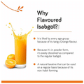 Earthroot Natural Sat Isabgol Psyllium Husk Orange Flavoured Powder thumbnail