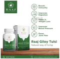 Raaj Ayurvedic Pharmacy Giloy Tulsi Ayurvedic Tablet | Boost Immunity | Respiratory Problem | Weight Loss | Joint pain | Blood Pressure thumbnail