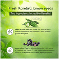 Sri Sri Tattva Karela Jamun Juice thumbnail