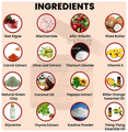Teal & Terra Red Algae Anti-Aging Face Mask thumbnail