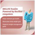 Wellfa Truslim Effervescent Tablet Apple Sugar Free thumbnail