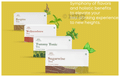 Shivamastu Wellnessbrew Herbal Tea (2gm Each) thumbnail