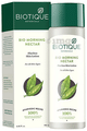 Biotique Bio Morning Nectar Flawless Skin Lotion thumbnail