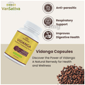 Vansattva Vidanga Capsule thumbnail