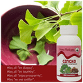 Prima Medicare Gingko Extract Capsule thumbnail
