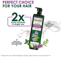 Emami Organic Rosemary Shampoo Shampoo with Tulsi thumbnail