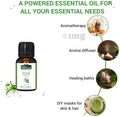 Indus Valley 100% Pure Essential Tea Tree Oil thumbnail